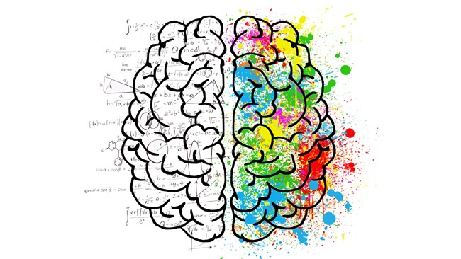 brain-2062057.jpg